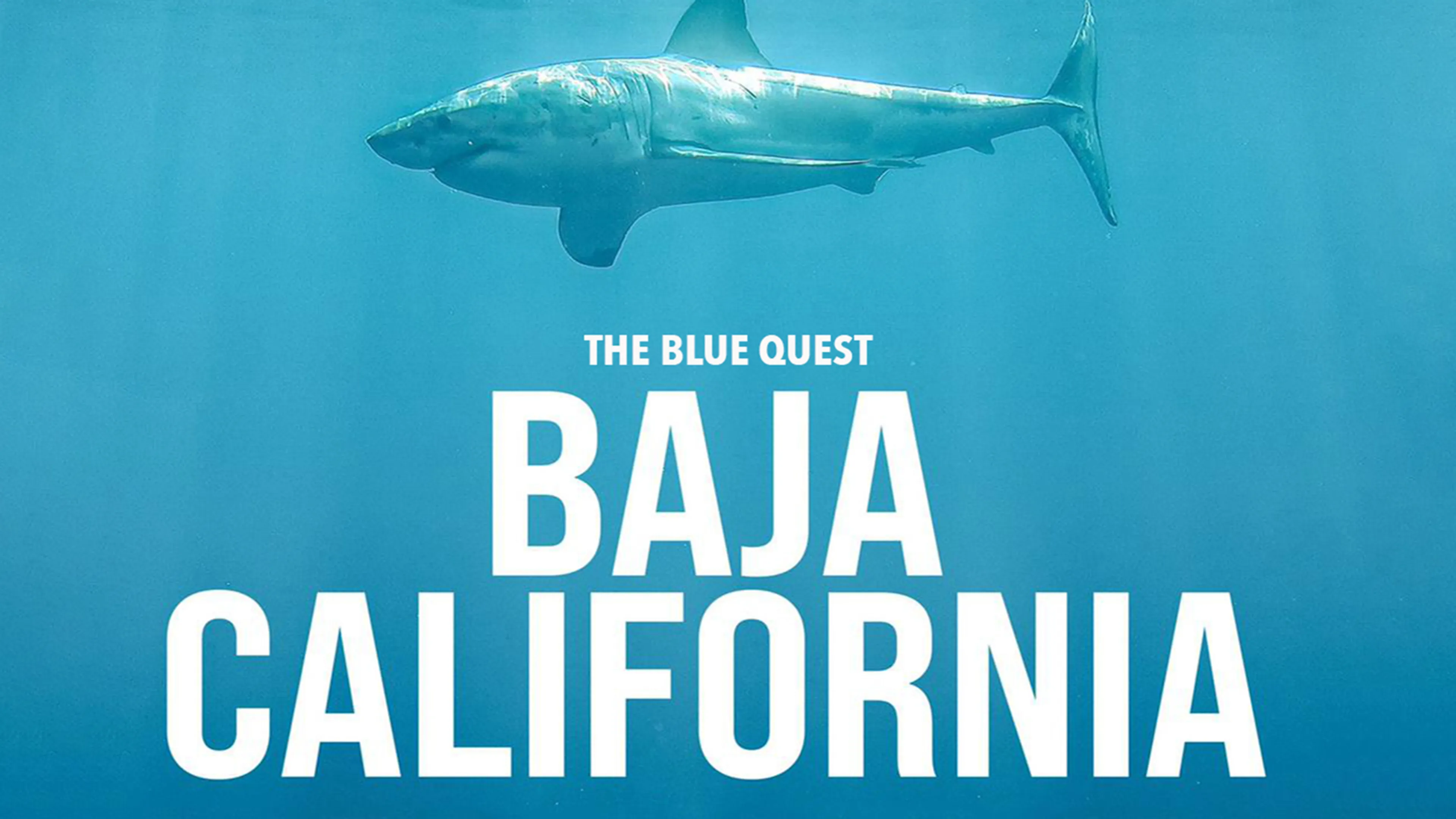 The Blue Quest Baja California poster